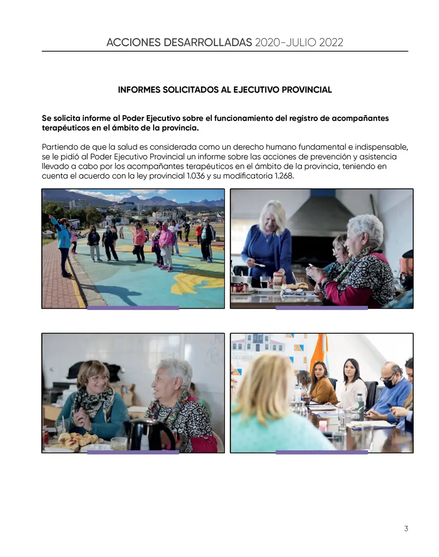 Informes al Ejecutivo sobre acompañantes terapéuticos y políticas de cuidado