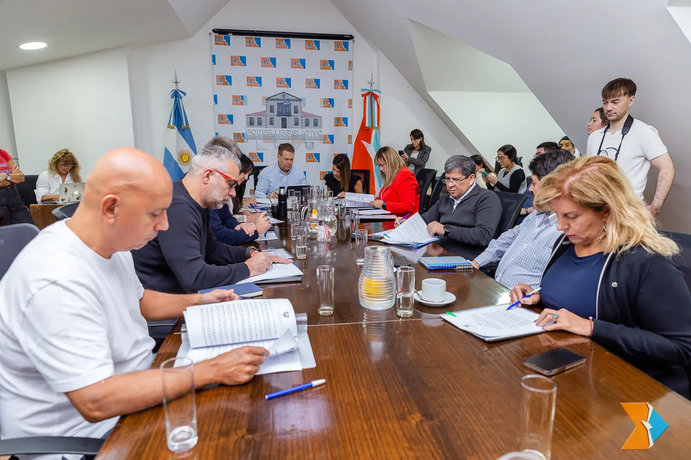 Dictamen para atender a víctimas de violencia de género